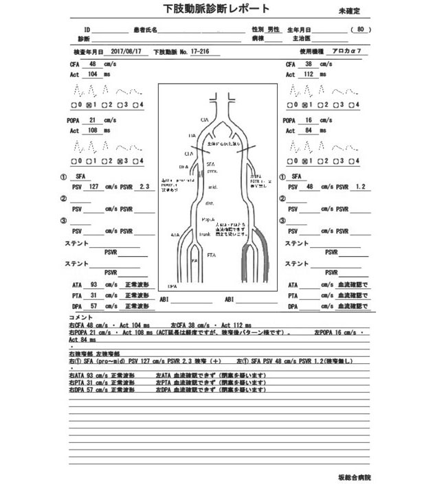 図4　下肢動脈エコーのレポート入力